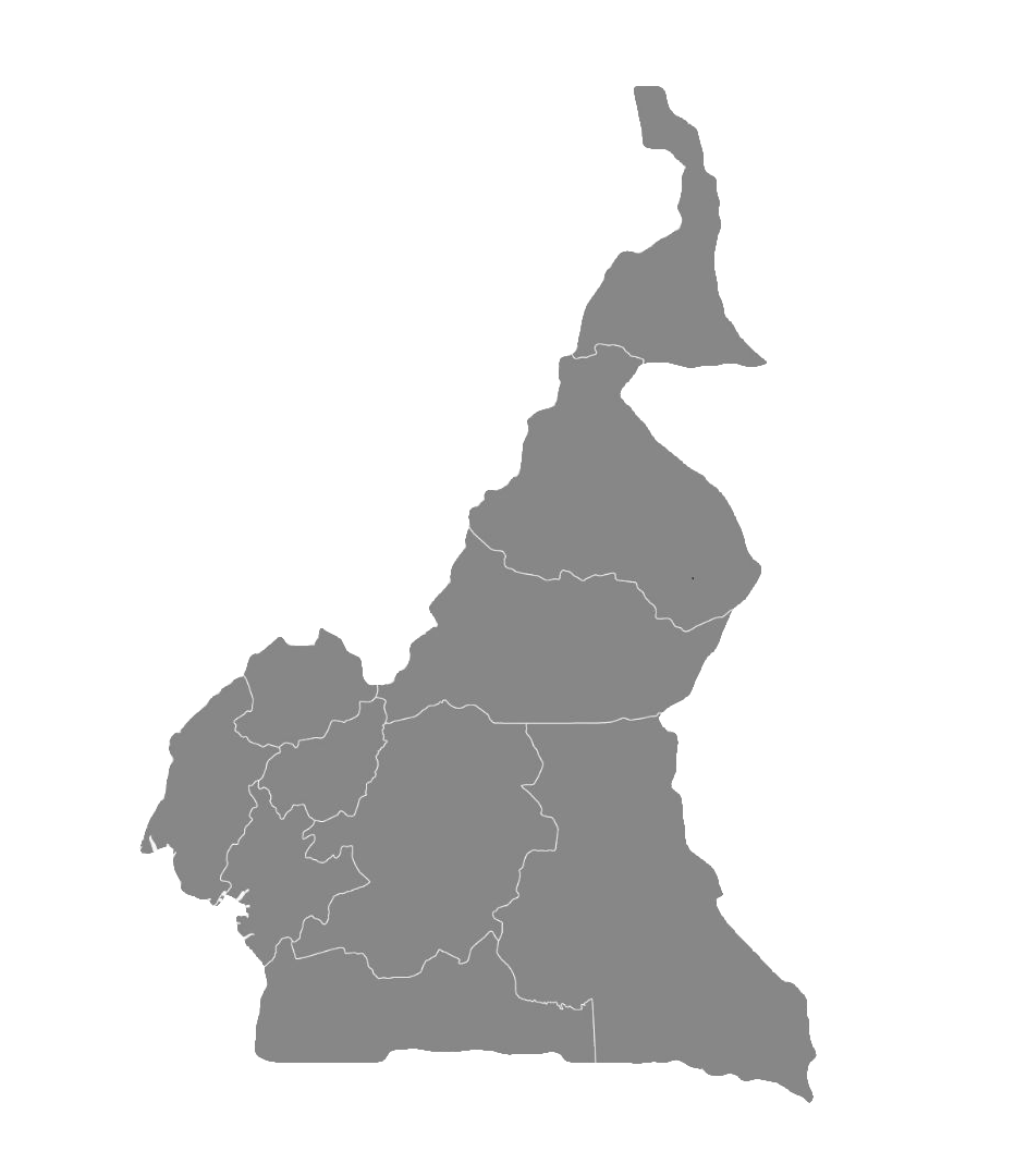 Carte du cameroun